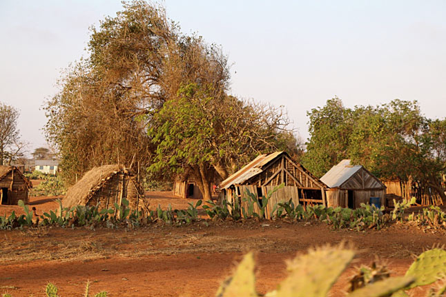 Image3
